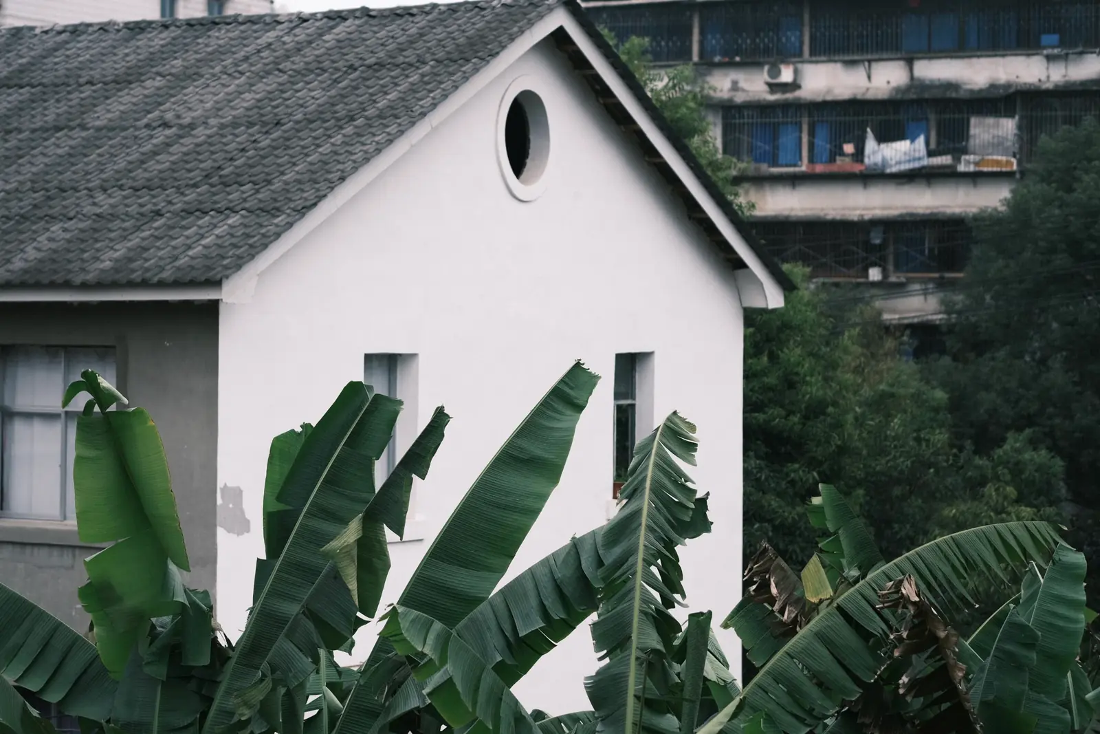 GUIYANG 5
